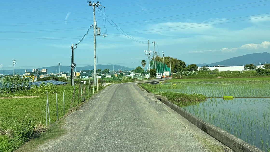 ナイター設備有り(LED照明)